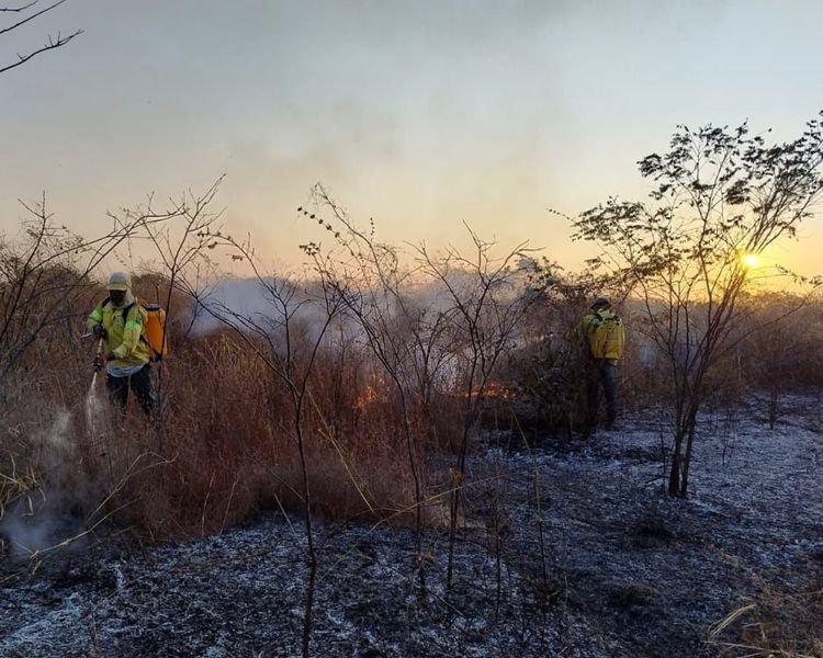 Piauí registra queda de 24% no número de focos de incêndio