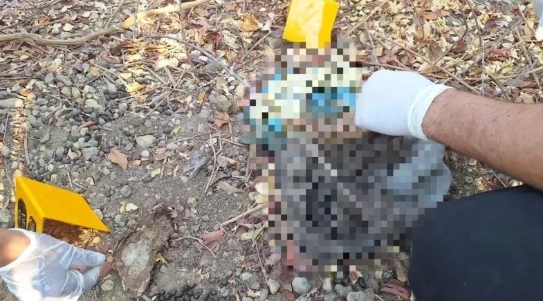 Restos mortais humanos são encontrados em área de matagal em Tamboril do Piauí