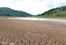 Picos e Itainópolis entram em emergência por causa da seca