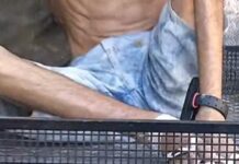 Pacto pela Ordem: polícia cumpre 17 mandados e desarticula grupo ligado ao PCC em Teresina