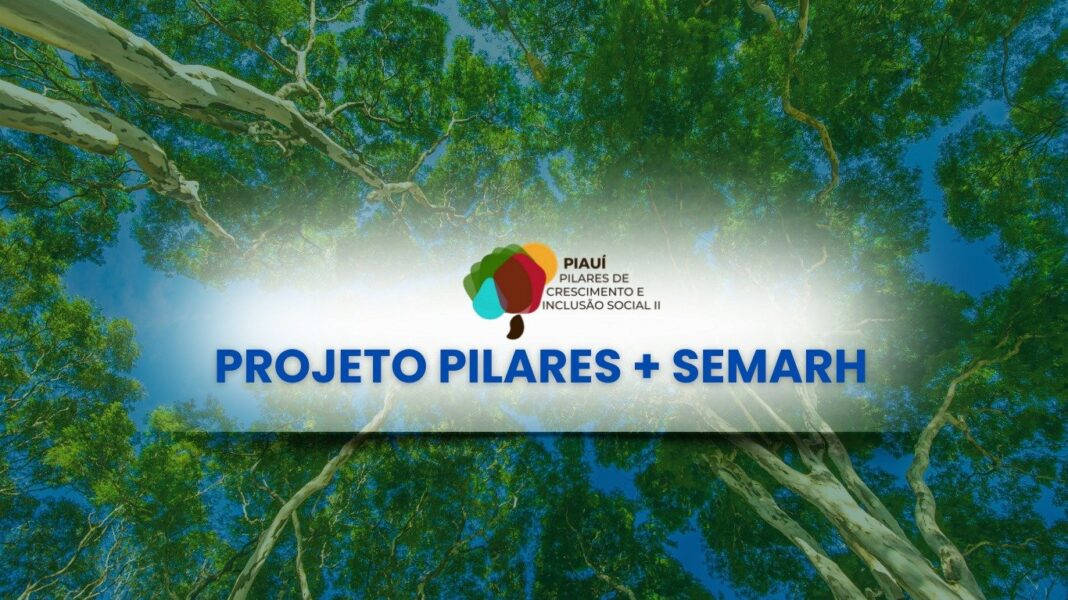 Governo do Piauí lança edital para seleção de consultores especializados em combate a incêndios florestais