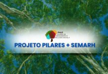 Governo do Piauí lança edital para seleção de consultores especializados em combate a incêndios florestais