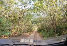 Rede Estadual de Trilhas visa fortalecer o turismo sustentável no Piauí