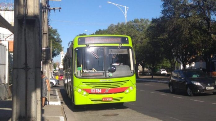 onibus-