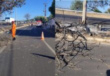 Árvore pega fogo, cai sobre motociclista e deixa jovem ferida na BR-316, na zona Sul de Teresina