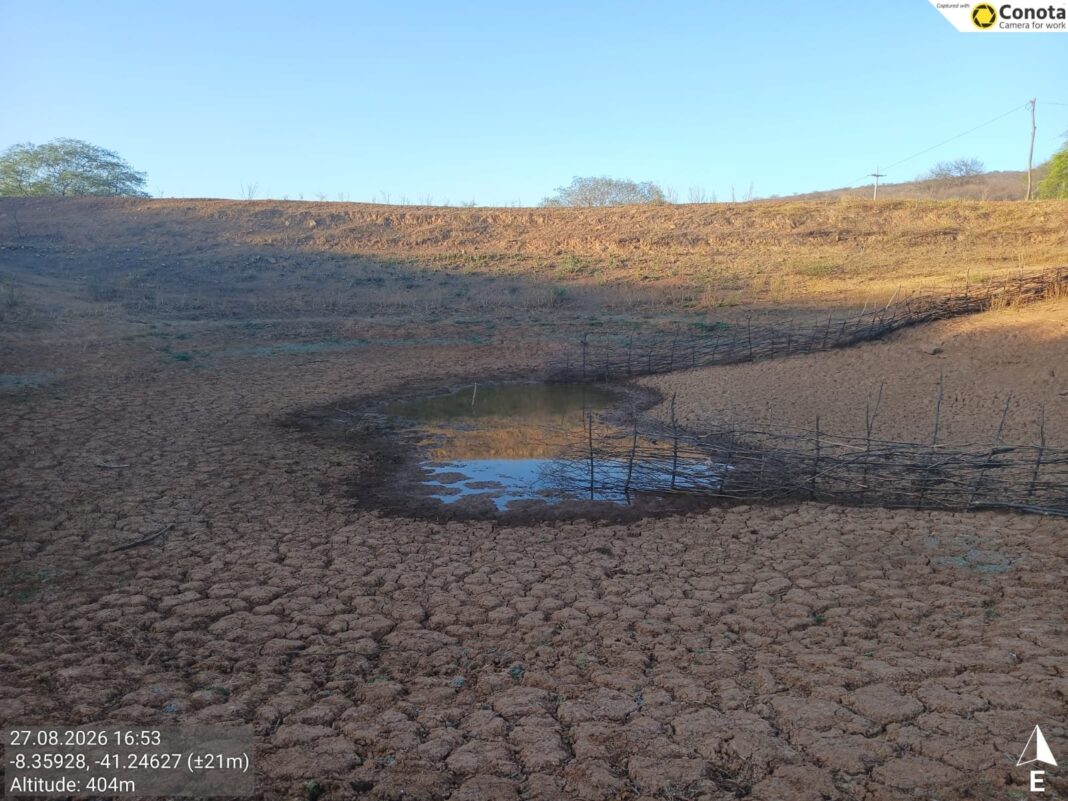 Cinco cidades do Piauí entram em situação de emergência devido à seca Cinco cidades do Piauí entram em situação de emergência devido à seca