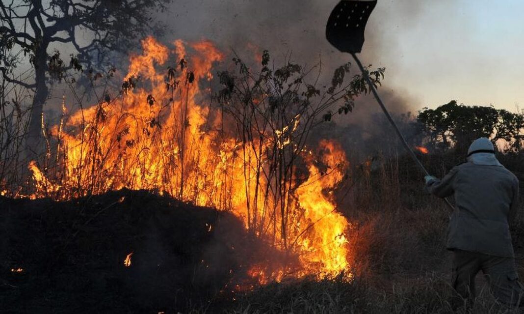 Secretaria de Meio Ambiente e Prefeitura de Água Branca reforçam orientações para prevenir queimadas Secretaria de Meio Ambiente e Prefeitura de Água Branca reforçam orientações para prevenir queimadas