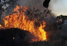 Secretaria de Meio Ambiente e Prefeitura de Água Branca reforçam orientações para prevenir queimadas