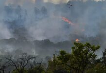 B-R-O BRÓ: Prefeitura de Água Branca desenvolve campanha de prevenção às queimadas e alerta para os riscos à saúde e ao meio ambiente