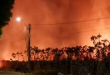 Incêndio atinge região da Piçarreira e mobiliza Corpo de Bombeiros em Teresina
