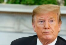 Trump elogia rapidez da apuração no Brasil e volta a criticar sistema eleitoral dos EUA