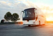 Transporte intermunicipal gratuito para eleitores no Piauí estará disponível das 0h de sexta (23) às 12h de segunda (26)